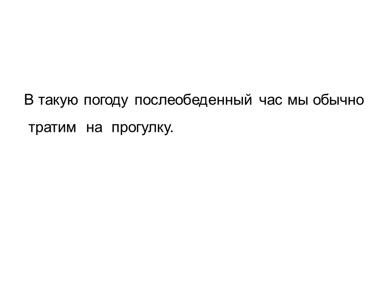 В такую погоду послеобеденный час мы обычно   тратим  на  прогулку.